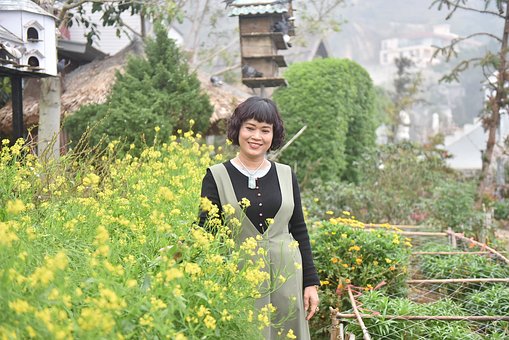 Free Three Island Flower Reform photo and picture