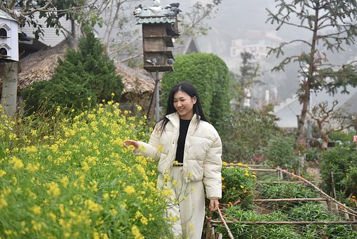 Free Three Island Flower Reform photo and picture