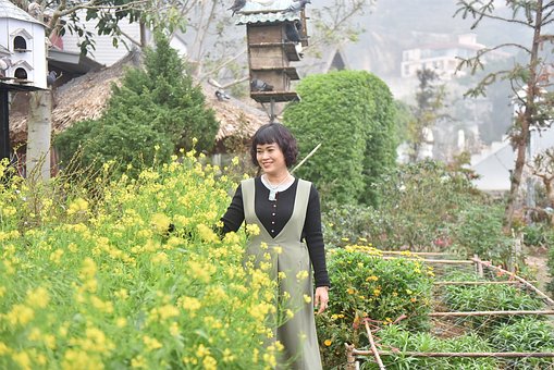 Free Three Island Flower Reform photo and picture