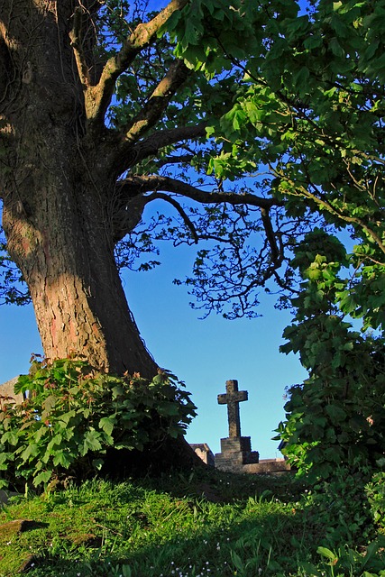 Free Cross Graveyard photo and picture