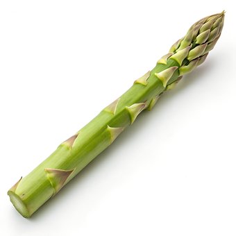 Asparges, Grønn, Grønnsak, Mat, Anlegg