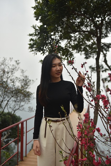 Free Peach Blossom Fog photo and picture