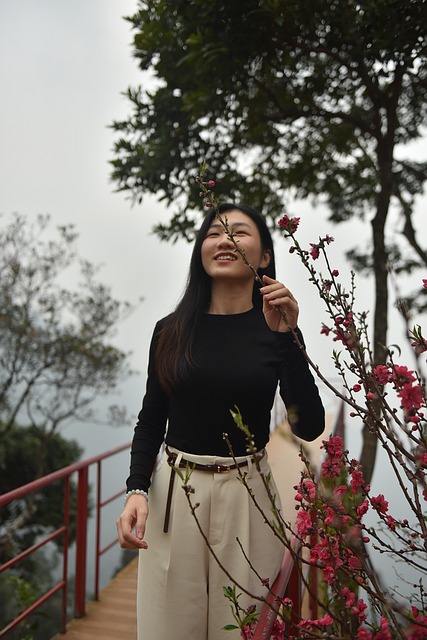 Free Peach Blossom Fog photo and picture
