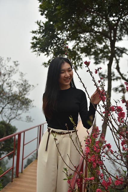 Free Peach Blossom Fog photo and picture