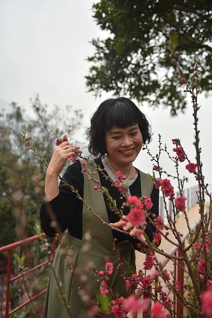 Free Peach Blossom Fog photo and picture