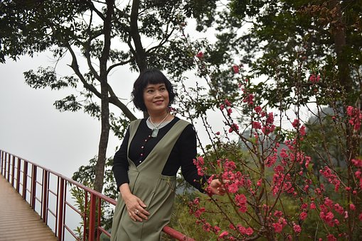 Free Peach Blossom Fog photo and picture