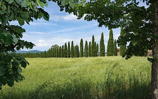 Tuscany, Itália, Férias, Natureza