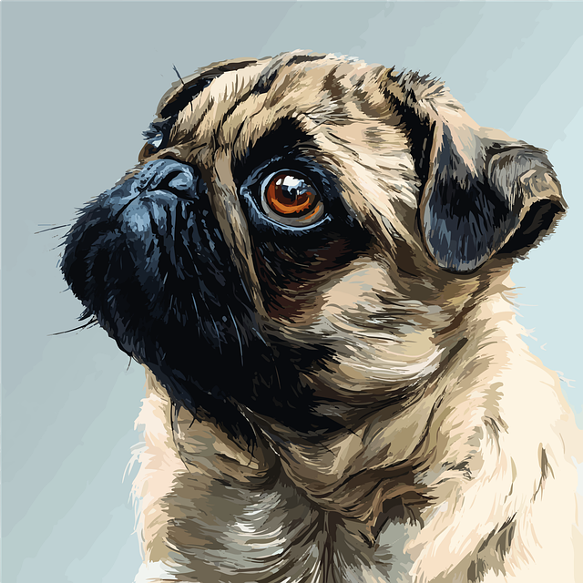 Free pug puppy pet vector