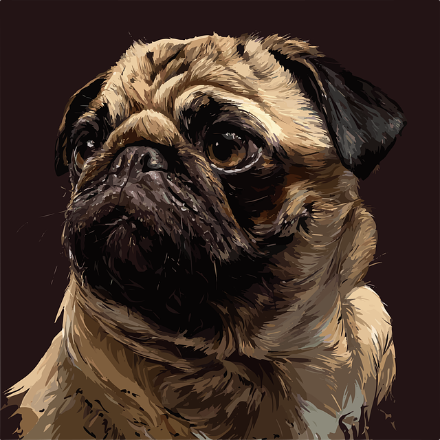 Free pug dog pet vector