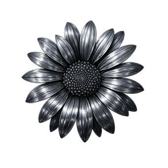 Blomst, Natur, Å Blomstre, Kronblad