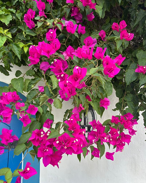 Free Algarve Portugal photo and picture