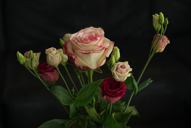 Blumen, Nahaufnahme, Blüte, Knospen