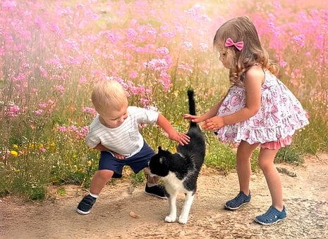 어린이들, 고양이, 남자 아이와 여자 아이, 유아, 여름, 분홍