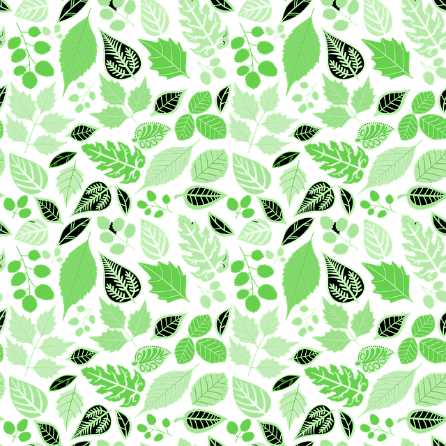 Free leaves nature tree illustration