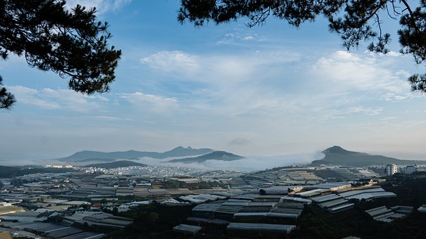 Da Lat, Vietnam, Vrchovina, Mlhavé Ráno