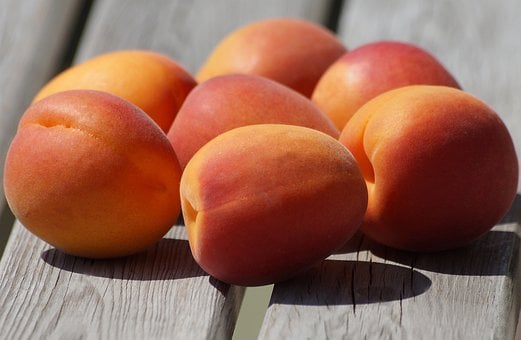 Free Fruit Apricots photo and picture