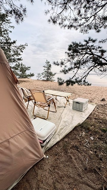 Picnic, Telt, Lejr, Camping, Natur