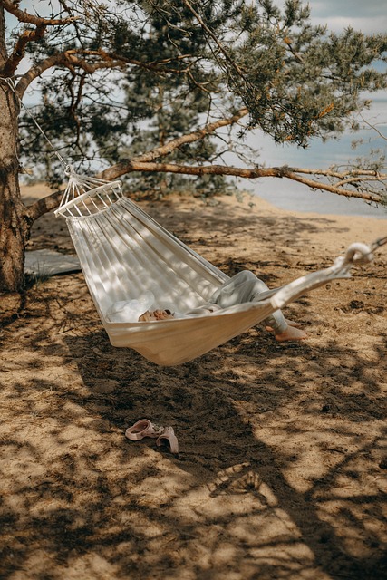 Hængekøje, Natur, Ferie, Træer, Sommer