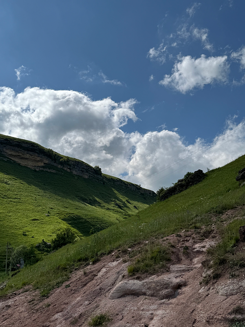 Free Hills Green Meadows photo and picture