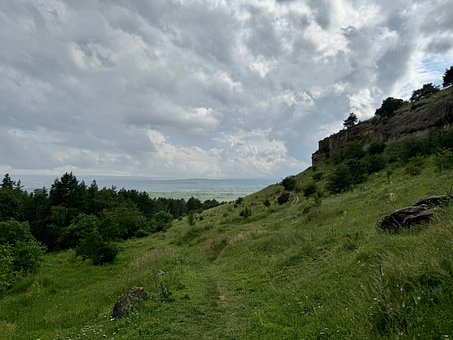 Free Forest Wilderness photo and picture