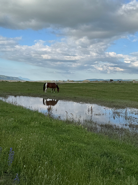 Free Nature Meadows photo and picture