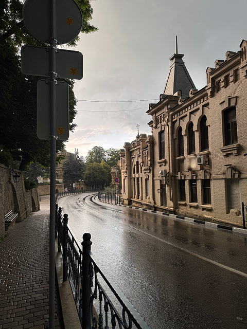 Free City Rain photo and picture