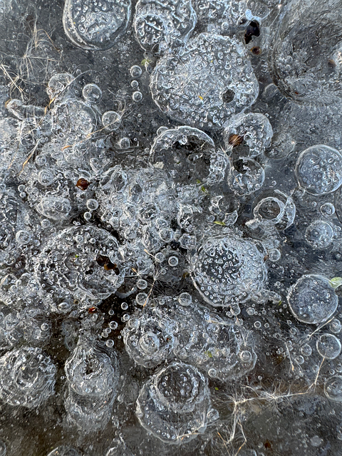 Free Texture Ice photo and picture