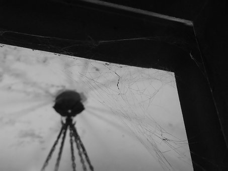 Free Spider'S Web Old photo and picture