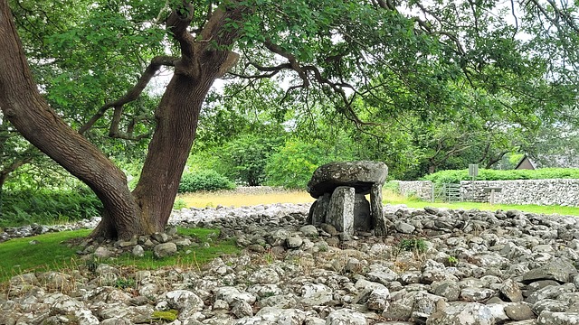 Free Wales Burial Chamber photo and picture