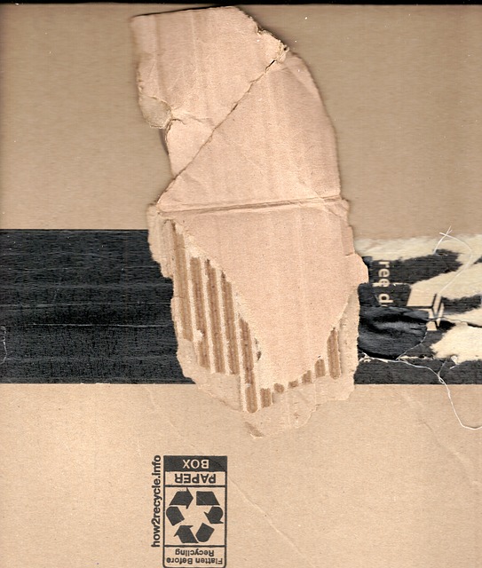 Cartulina, Embalaje, Caja, Entrega
