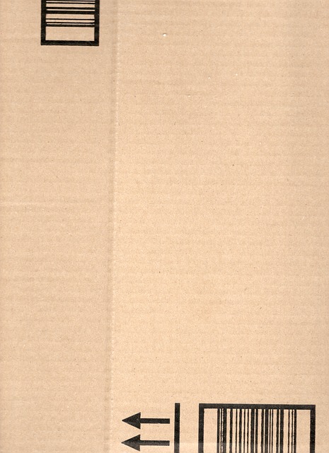 Cartulina, Embalaje, Caja, Entrega