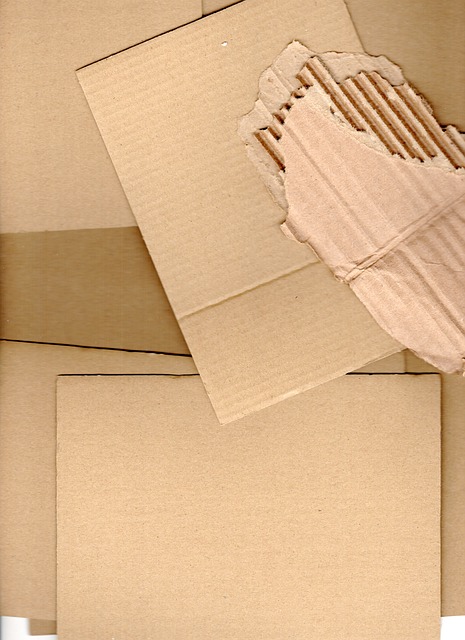 Cartulina, Embalaje, Caja, Entrega