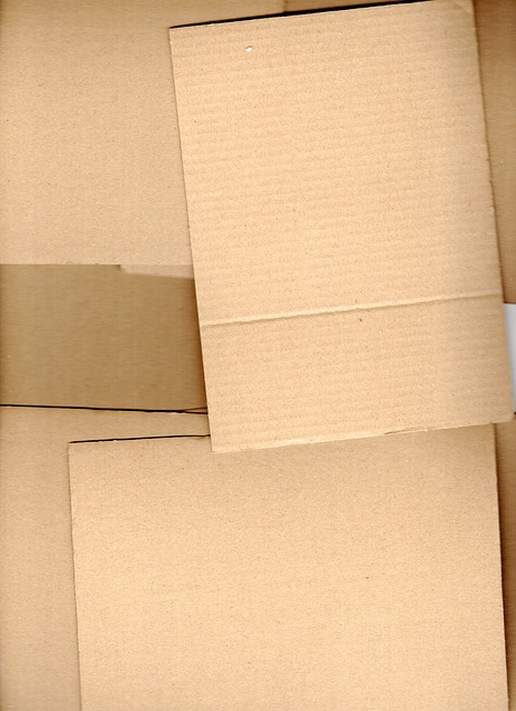 Cartulina, Embalaje, Caja, Entrega