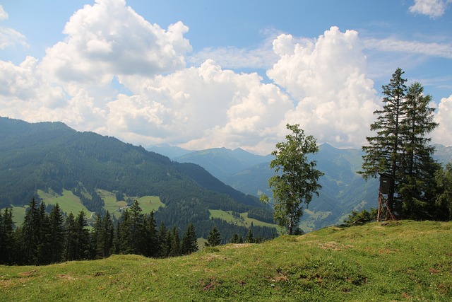 Free Alps Mountains photo and picture