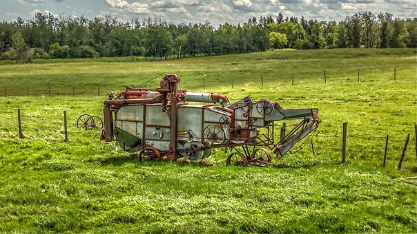 Free Harvest Agriculture illustration and picture