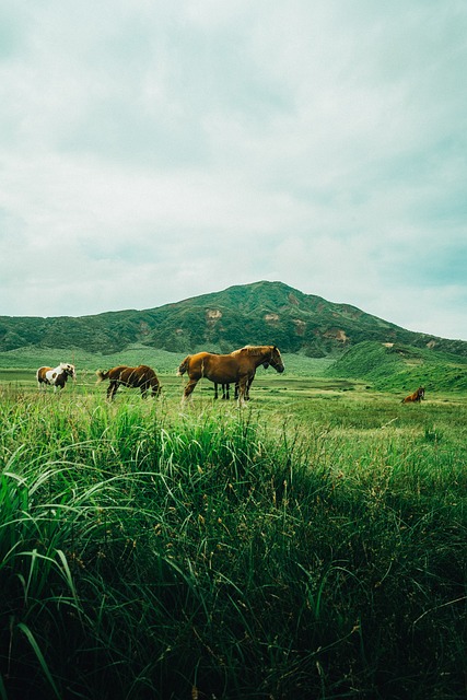 Free Nature Landscape photo and picture
