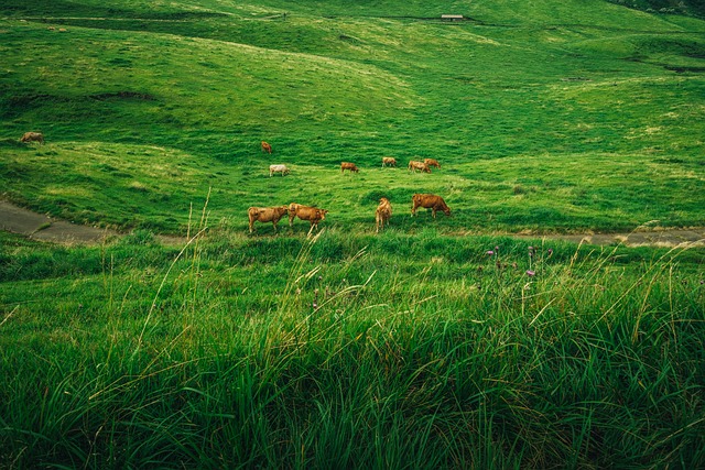 Free Nature Landscape photo and picture