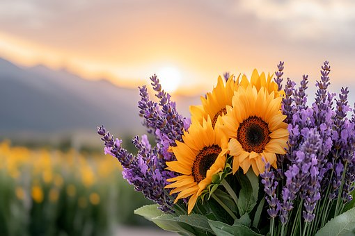 Free Flowers Sunflowers illustration and picture