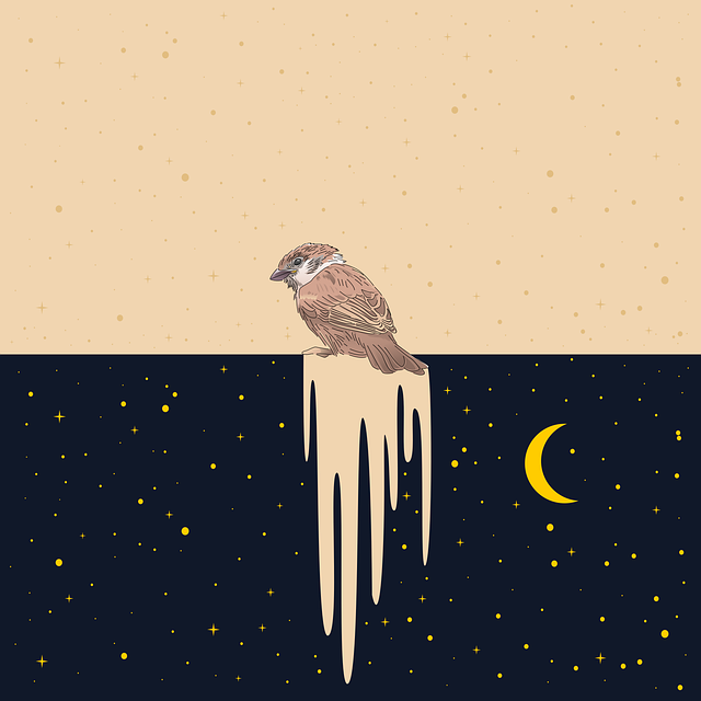 Free bird night moon vector