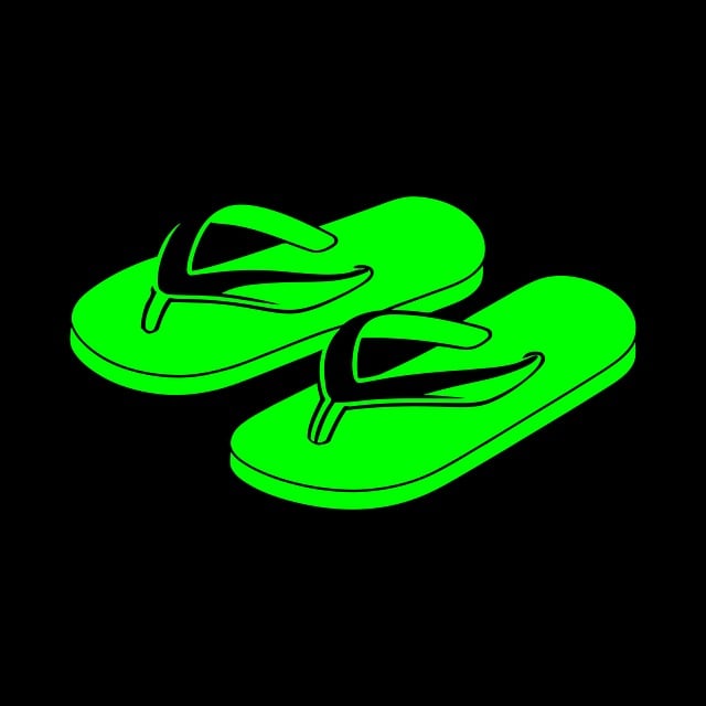 Free slippers green footwear illustration