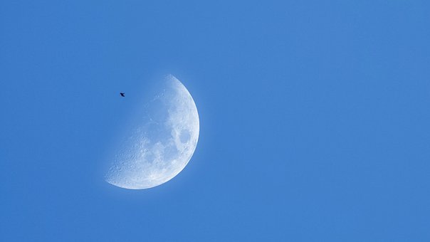 Free Moon Nature photo and picture