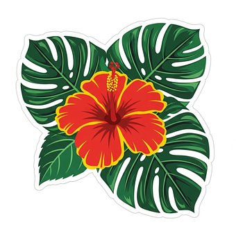 Free Ai Generated Hibiscus illustration and picture