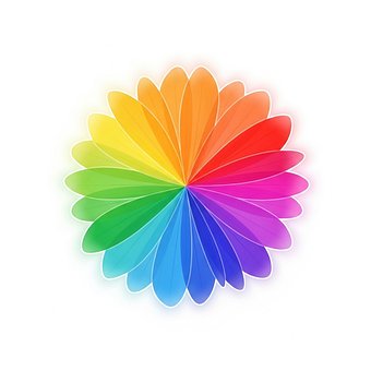 Free Ai Generated Flower Petals illustration and picture