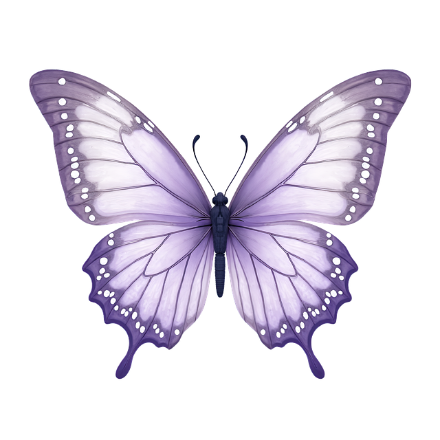 Free butterfly purple nature illustration