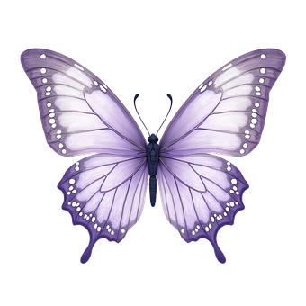 Mariposa, Púrpura, Naturaleza, Lavanda