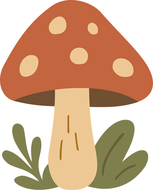 Free nature autumn forest vector
