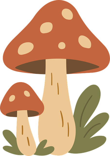 Natur, Herbst, Wald, Pilz, Botanisch