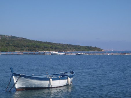 Free Rowing Boat Fisherman photo and picture