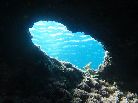 Free Sea Nature photo and picture