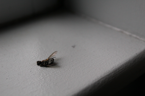 Free Minimalism Tonal Contrast photo and picture